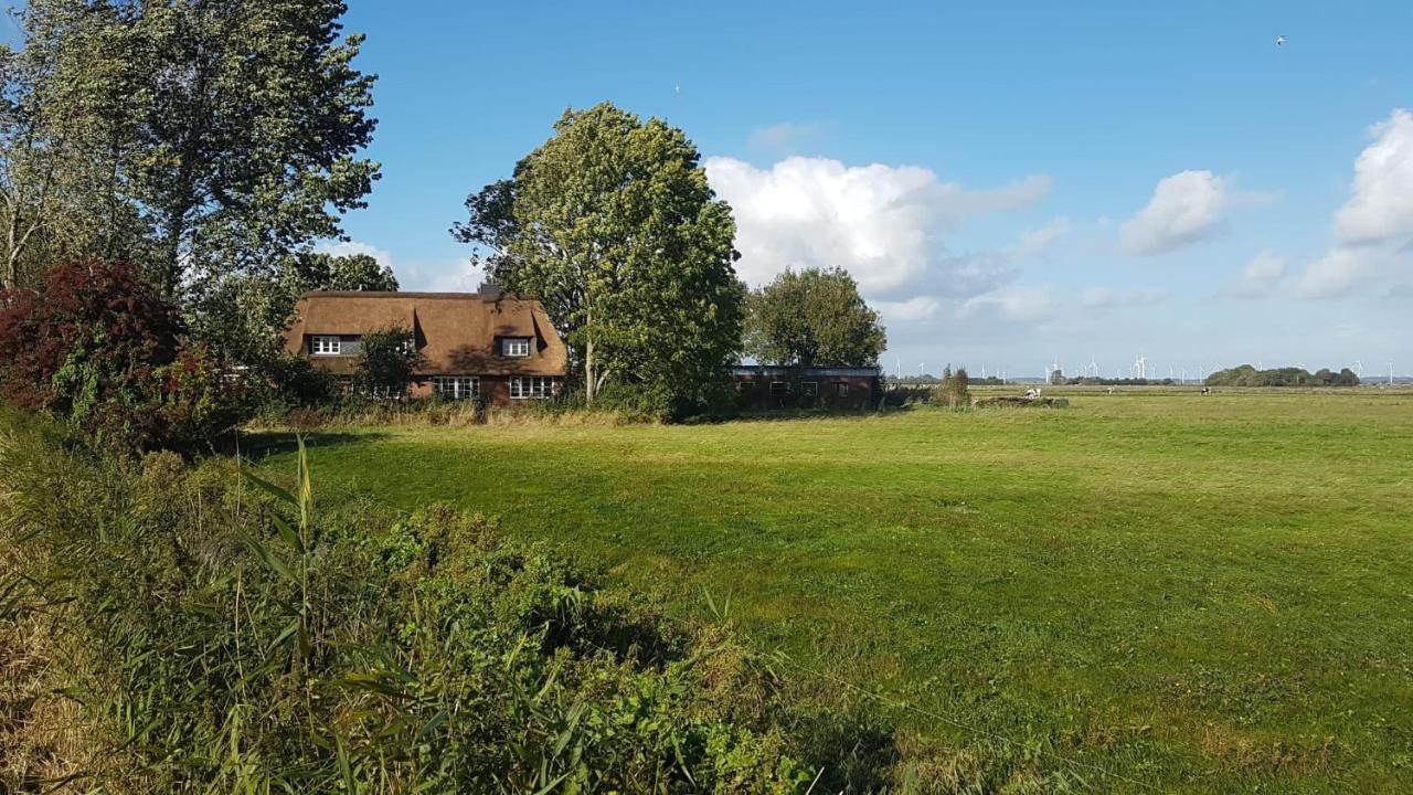 Ferienwohnung Diekblick - Kleiner Deichhof Hattstedtermarsch Bagian luar foto