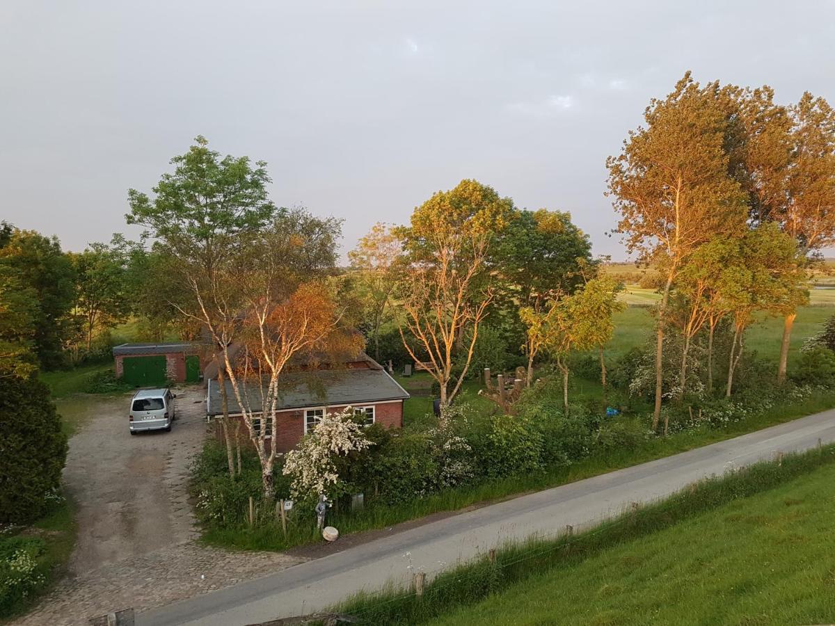 Ferienwohnung Diekblick - Kleiner Deichhof Hattstedtermarsch Bagian luar foto