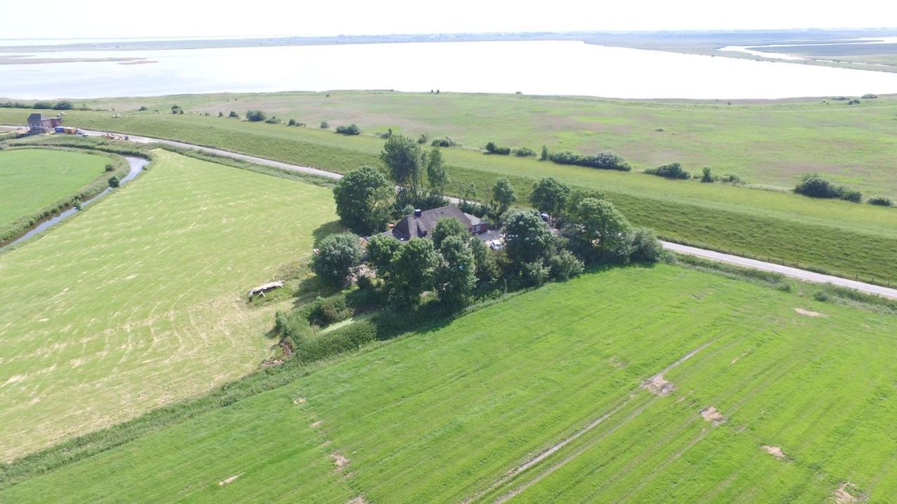 Ferienwohnung Diekblick - Kleiner Deichhof Hattstedtermarsch Bagian luar foto